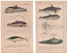 5 original vintage hand