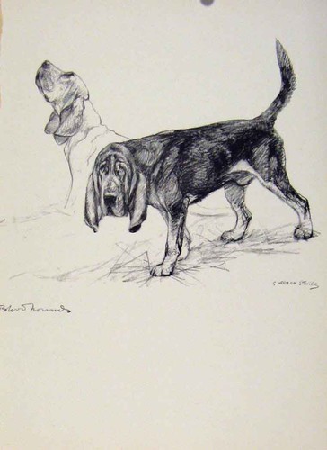 Original old vintage - old, print