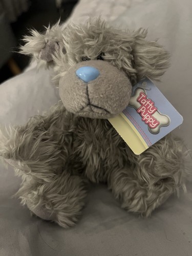 Too you small tatty puppy - me,
