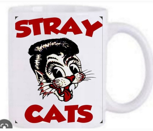 The stray cats person - cats,