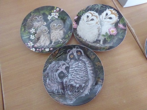 Collectors set wedgwood owl - 3,