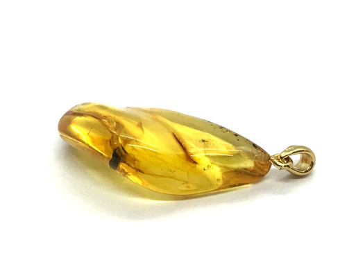 Baltic amber pendant insects - baltic,
