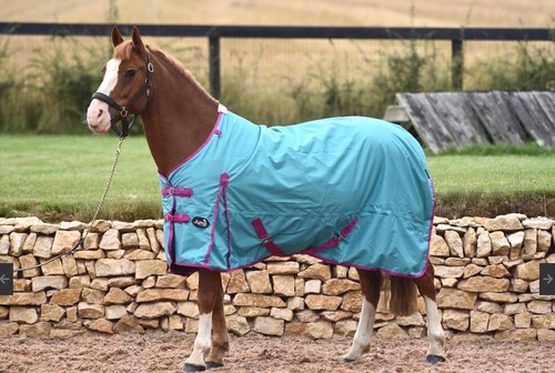 50g jump standard neck turnout - 50g,
