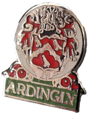 Ardingly Village Small Pin
