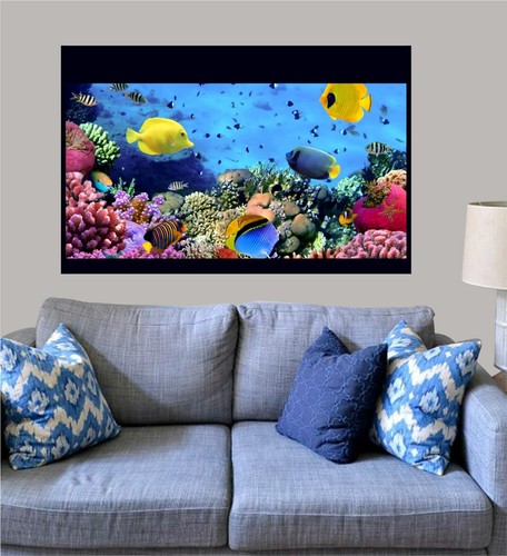 Aquarium fish tank - aquarium/fish,