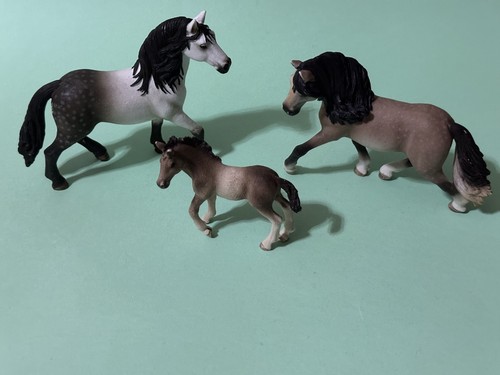 Schleich andalusian family - andalusian,