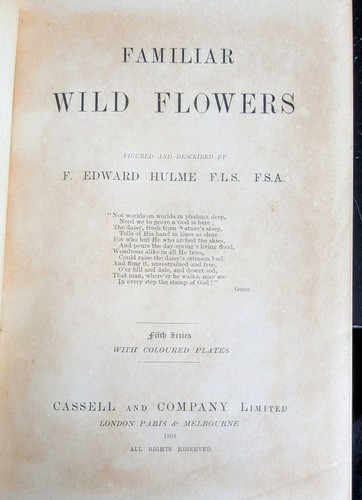 Familiar wild flowers 5th - wild,