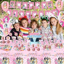 Pink Bluey Bingo Themed