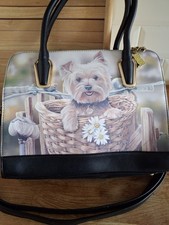Banbury mint yorkshire terrier - banbury,