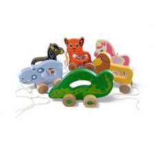 Personalised Pull-Along Animal