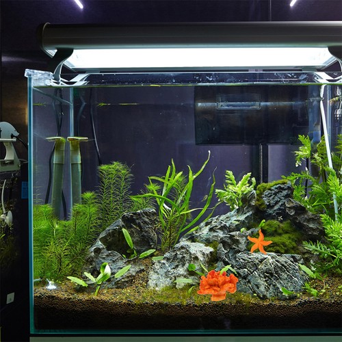 Pcs tropical fish tank - 4,