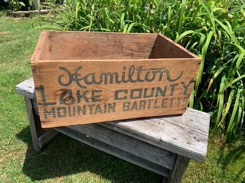 Vintage hamilton lake county - vintage,