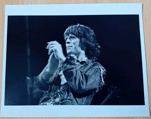 Mick jagger the - jagger, rolling