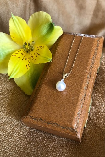 14k akoya saltwater pearl - 14k,