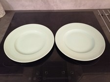 2 X Woods Ware  Beryl Dinner