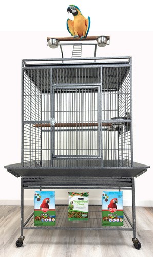 X23 x69 xlarge parrot - xlarge,