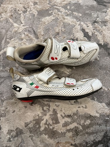Sidi ergo carbon cycling - sidi, 2
