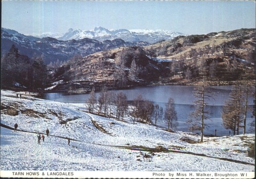 Vintage postcard tarn hows - vintage, &