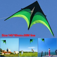 Large Delta Long Tail Kite
