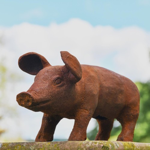 Deluxe freestanding pig - pig, garden
