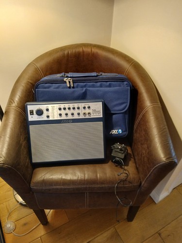 Axl thinamp for electric - axl,