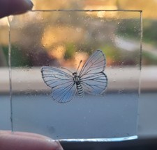 stained glass small blue