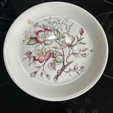 Vintage Alfred Meakin WILD