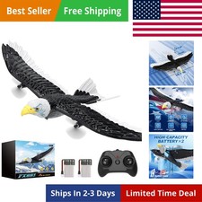 RC Plane, Remote Control Eagle