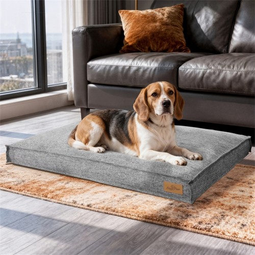Orthopedic memory foam dog - memory,