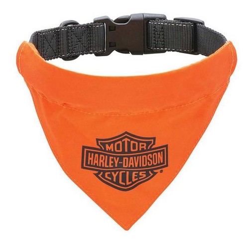 Harley davidson dog - harley-davidson, pet
