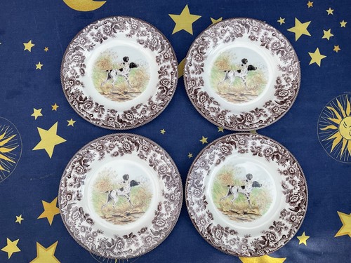 Spode woodland english pointer - spode,