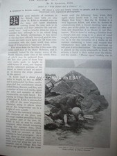 1898 life kilda r - 1898, by