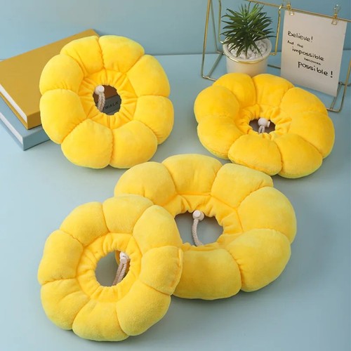Sunflower pet elizabethan - sunflower,
