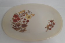 Vintage Pyrex Harvest Spray