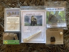 Mammoth, Fossil, Dinosaur