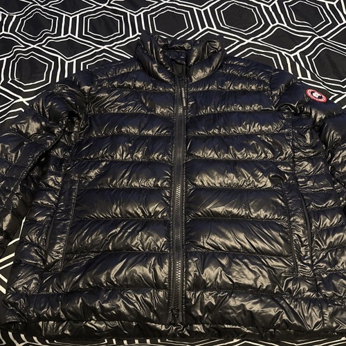 Canada goose cypress - goose,