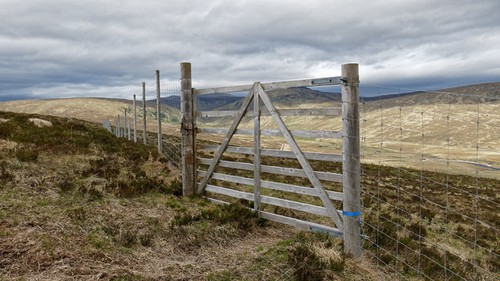 Photo 6x4 gate the - 6x4, in