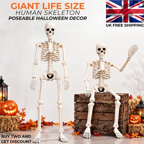 Giant life 40cm - size, human