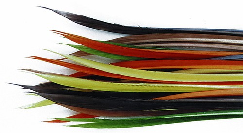 Turkey biots for fly tying - turkey,