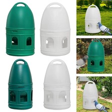 Pet Drinker Pigeons Birds