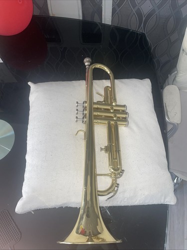 Nuova ntr brass - nuova,