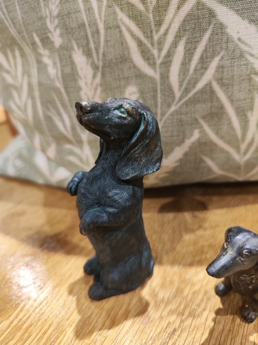 Sitting dachshund dog - sitting,