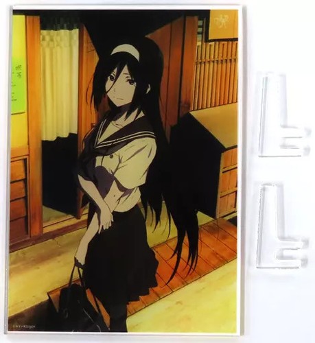 Adult collectible kujibikido - adult,