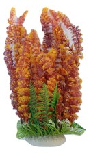 Dark Red & Yellow Aquarium