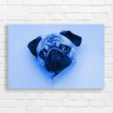 Adorable Pug Puppy Blue Canvas Print Large Picture Wall Art