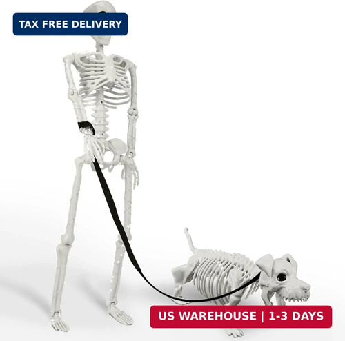 Lighted human dog skeleton - human,