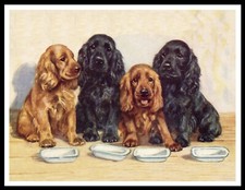 COCKER SPANIEL DOGS WAIT FOR