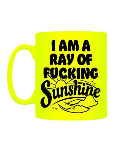 Ray of fucking - a, sunshine