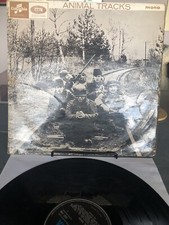 The animals-animal tracks
