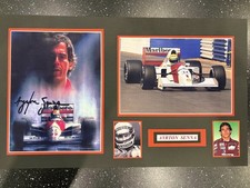 Ayrton Senna McLaren Honda